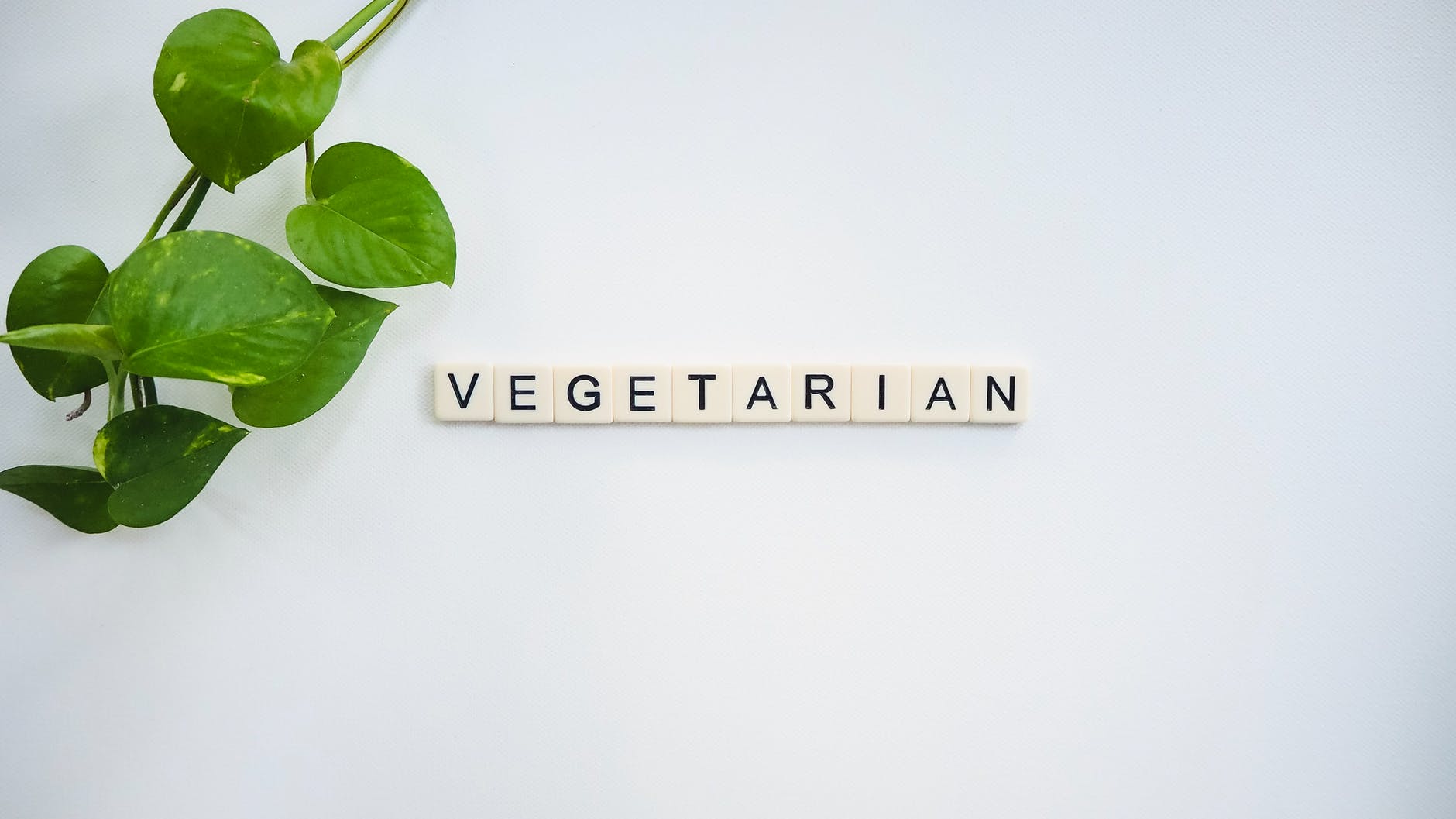 wege wegetarianie magazyn rzeczjasna