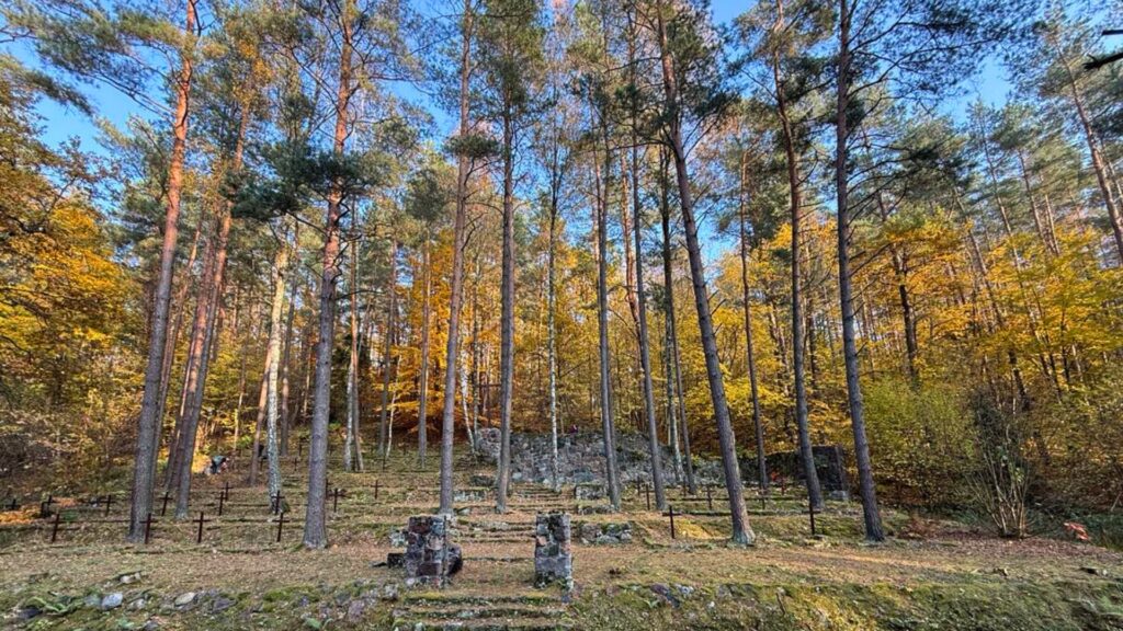 Cmentarz wojenny w Drwęcku