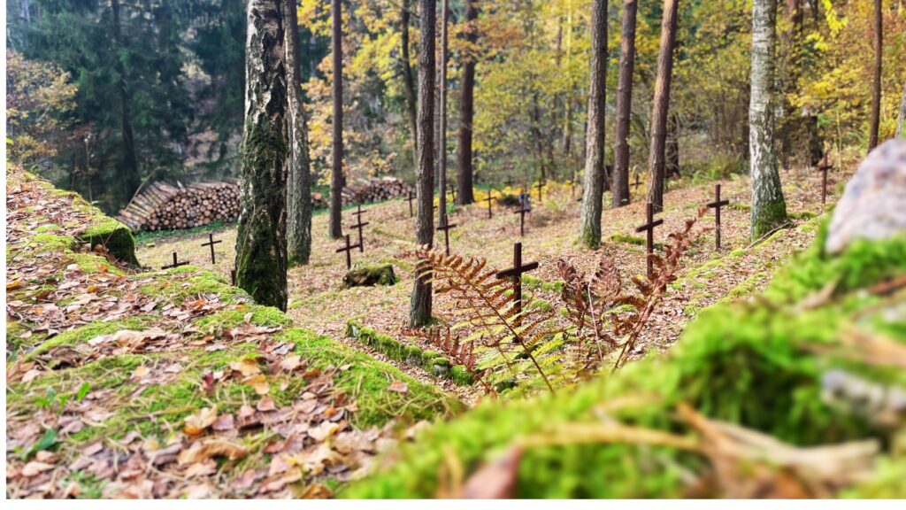Cmentarz wojenny w Drwęcku widok z góry