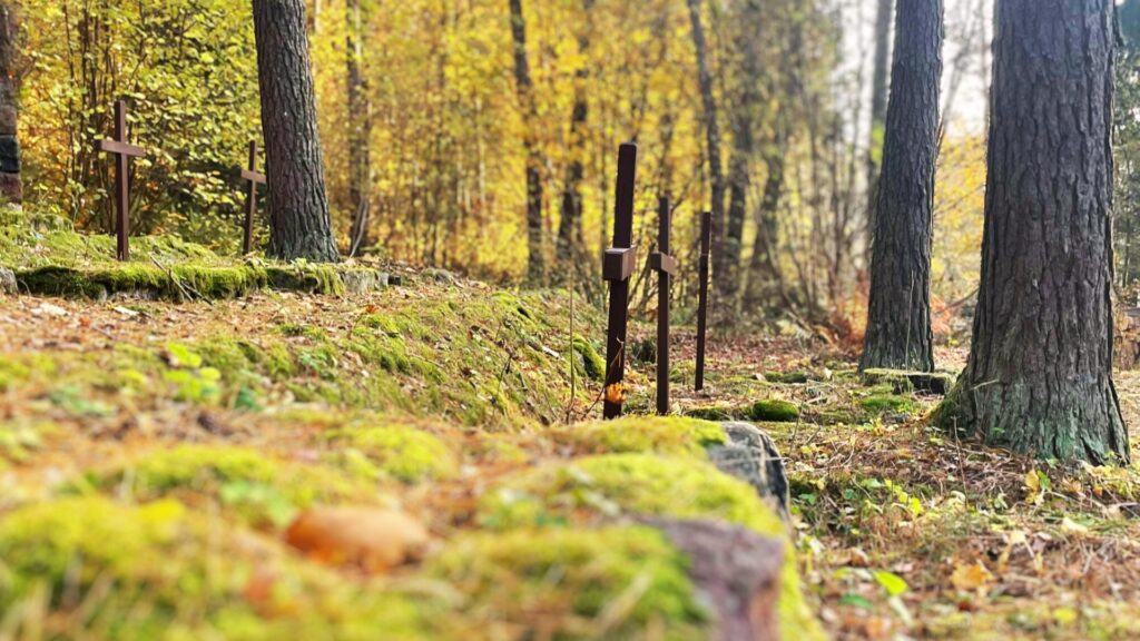 Cmentarz wojenny z 1914 w Drwęcku